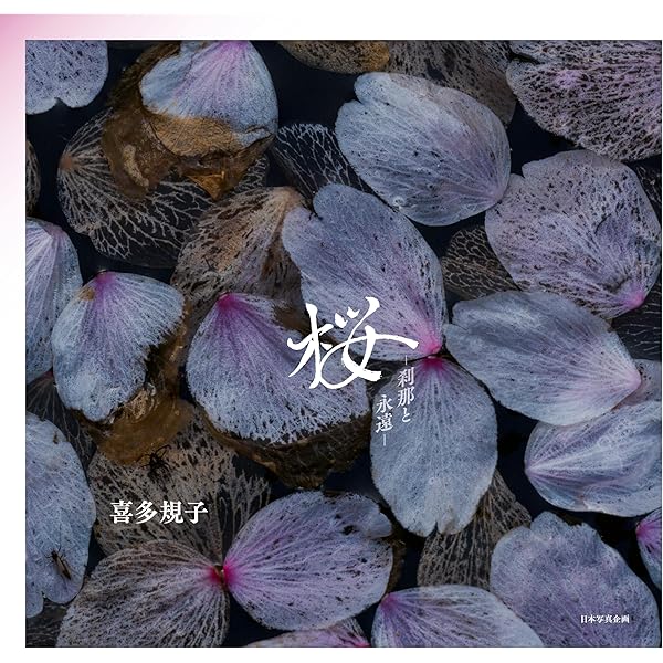 Amazon.co.jp: 櫻乃聲: 鈴木一雄写真集 : 鈴木 一雄: 本